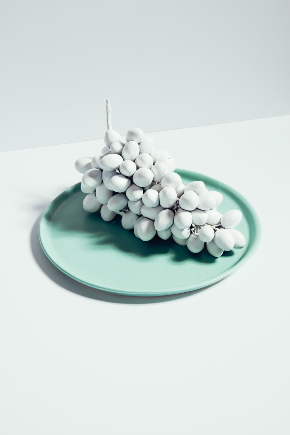 Dinner Plate