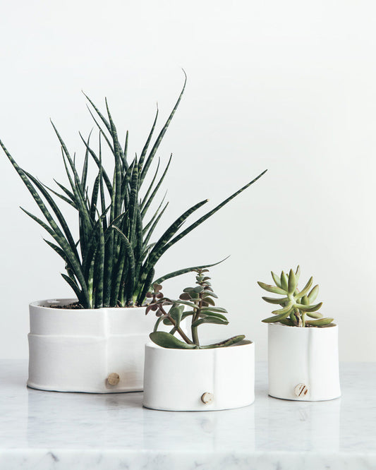Porcelain Planter -  As an alternative to the traditional plant saucer this pot features a small hole and waxed cork for drainage. / Jardinière en porcelaine - Comme solution de rechange à la cuvette d’arrosage traditionnelle, ce pot est muni d’un petit trou et d’un bouchon de liège ciré servant au drainage. 