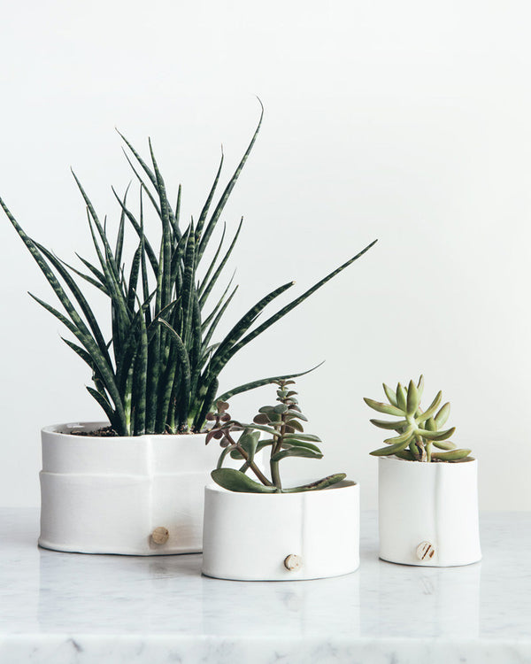 Porcelain Planter -  As an alternative to the traditional plant saucer this pot features a small hole and waxed cork for drainage. / Jardinière en porcelaine - Comme solution de rechange à la cuvette d’arrosage traditionnelle, ce pot est muni d’un petit trou et d’un bouchon de liège ciré servant au drainage. 