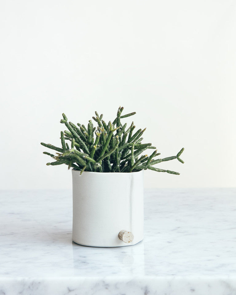 Porcelain Planter -  As an alternative to the traditional plant saucer this pot features a small hole and waxed cork for drainage. / Jardinière en porcelaine - Comme solution de rechange à la cuvette d’arrosage traditionnelle, ce pot est muni d’un petit trou et d’un bouchon de liège ciré servant au drainage. 