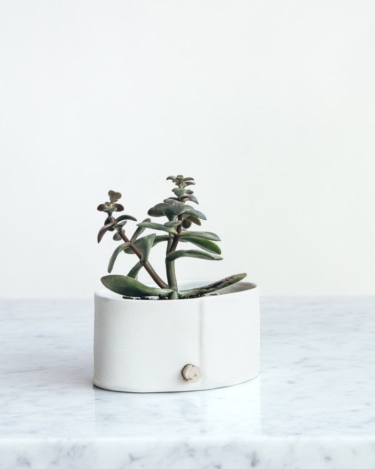 Porcelain Planter -  As an alternative to the traditional plant saucer this pot features a small hole and waxed cork for drainage. / Jardinière en porcelaine - Comme solution de rechange à la cuvette d’arrosage traditionnelle, ce pot est muni d’un petit trou et d’un bouchon de liège ciré servant au drainage. 