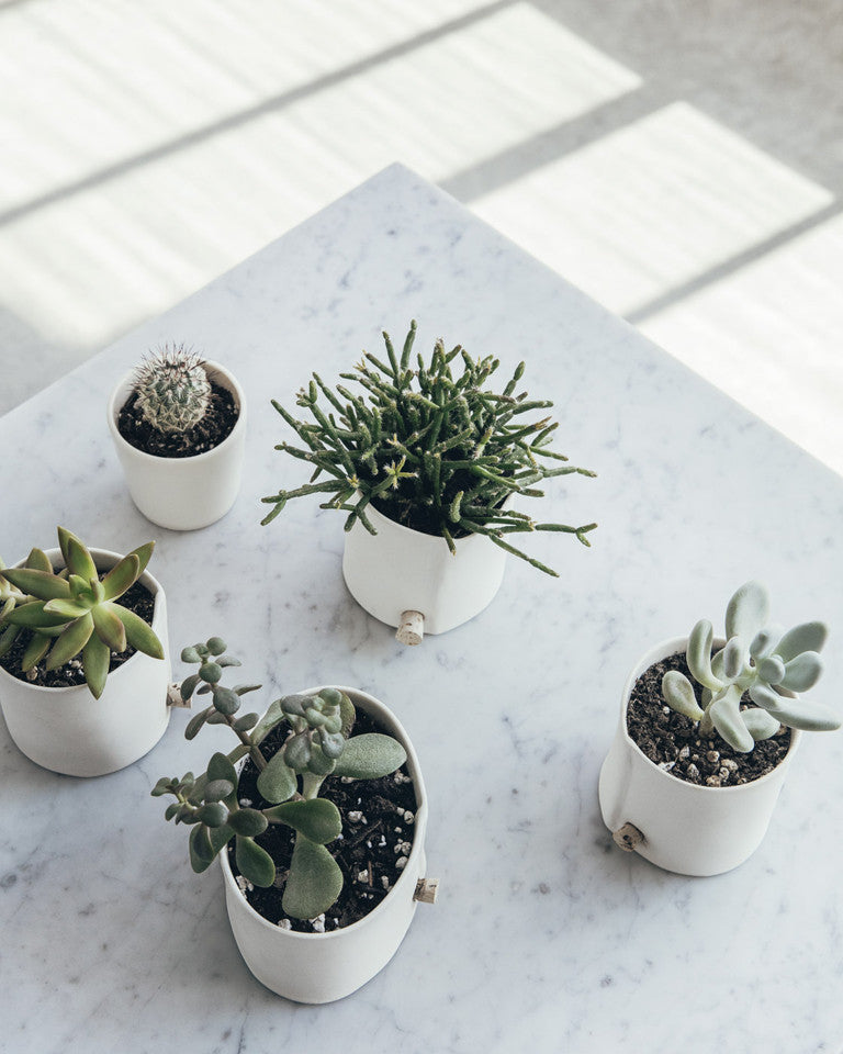 Porcelain Planter -  As an alternative to the traditional plant saucer this pot features a small hole and waxed cork for drainage. / Jardinière en porcelaine - Comme solution de rechange à la cuvette d’arrosage traditionnelle, ce pot est muni d’un petit trou et d’un bouchon de liège ciré servant au drainage. 