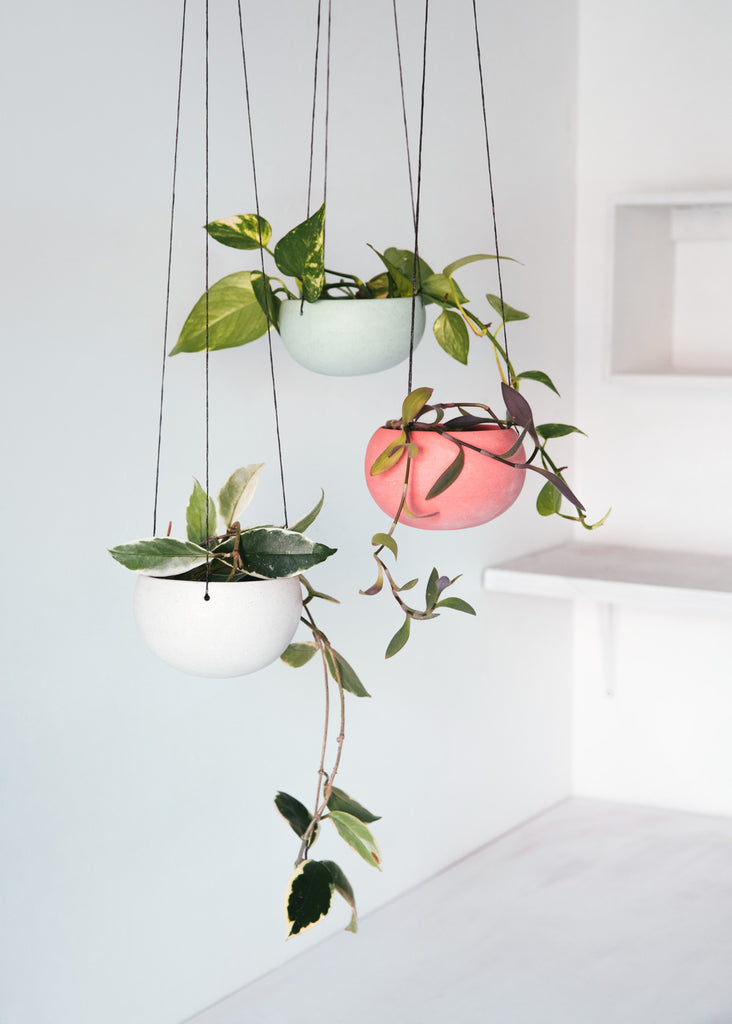 Porceclain Hanging pot / Pot suspendu Porcelaine